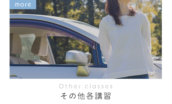 Other classes　その他各講習
